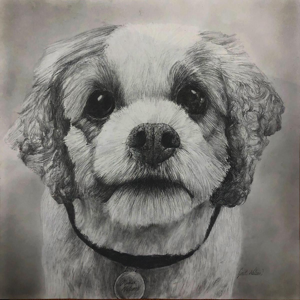 Dog Portrait