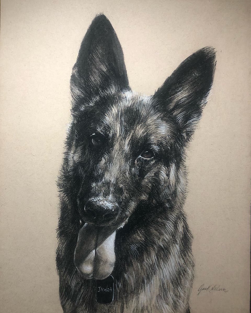 Dog Portrait