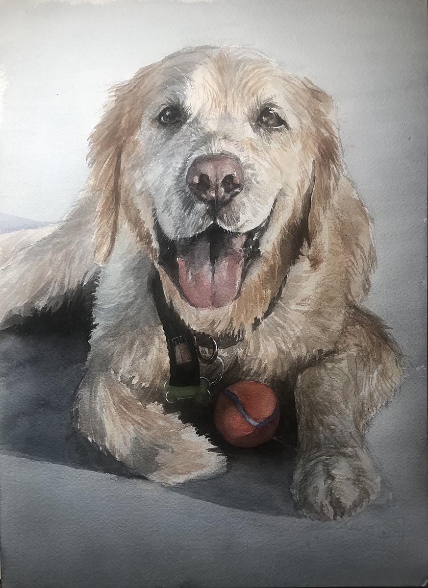 Dog Portrait