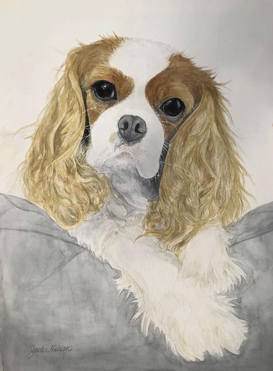 Dog Portrait by Jack Nelson